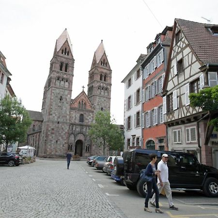 Gite Le Caveau Selestat - 30Min Europapark Buitenkant foto